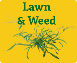 Lawn & Weed Treatment Turlock, BJ's Consumer's Choice Pest Control